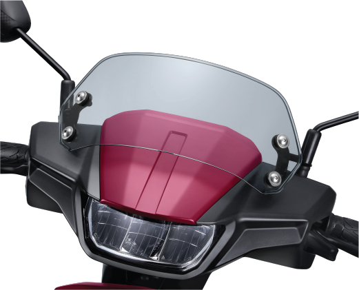 Meter Visor (Tinted)